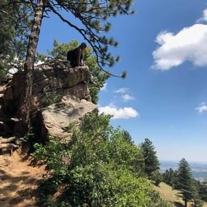 Meet your Posher, Sandy